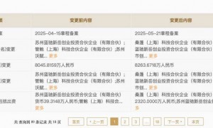 京东，投了稚晖君