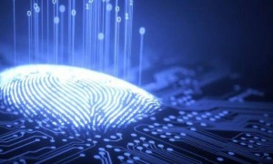 0号新闻财经新闻：充电宝名不虚传！T1击败KT晋级！尽力中单落泪了​